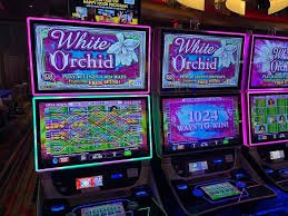 ibet6888 Memahami ibet6888 Melalui FAQ